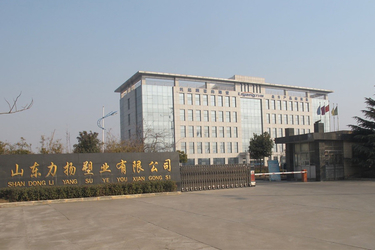 중국 Shandong Liyang Plastic Molding Co., Ltd.